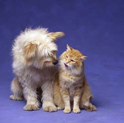 reconciliacion